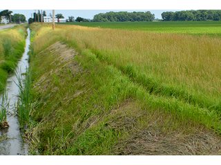 Property photo 22 - LAND AUCTION - 700+/- ACRES OFFERED IN 16 TRACTS IN ALLEN COUNTY, INDIANA